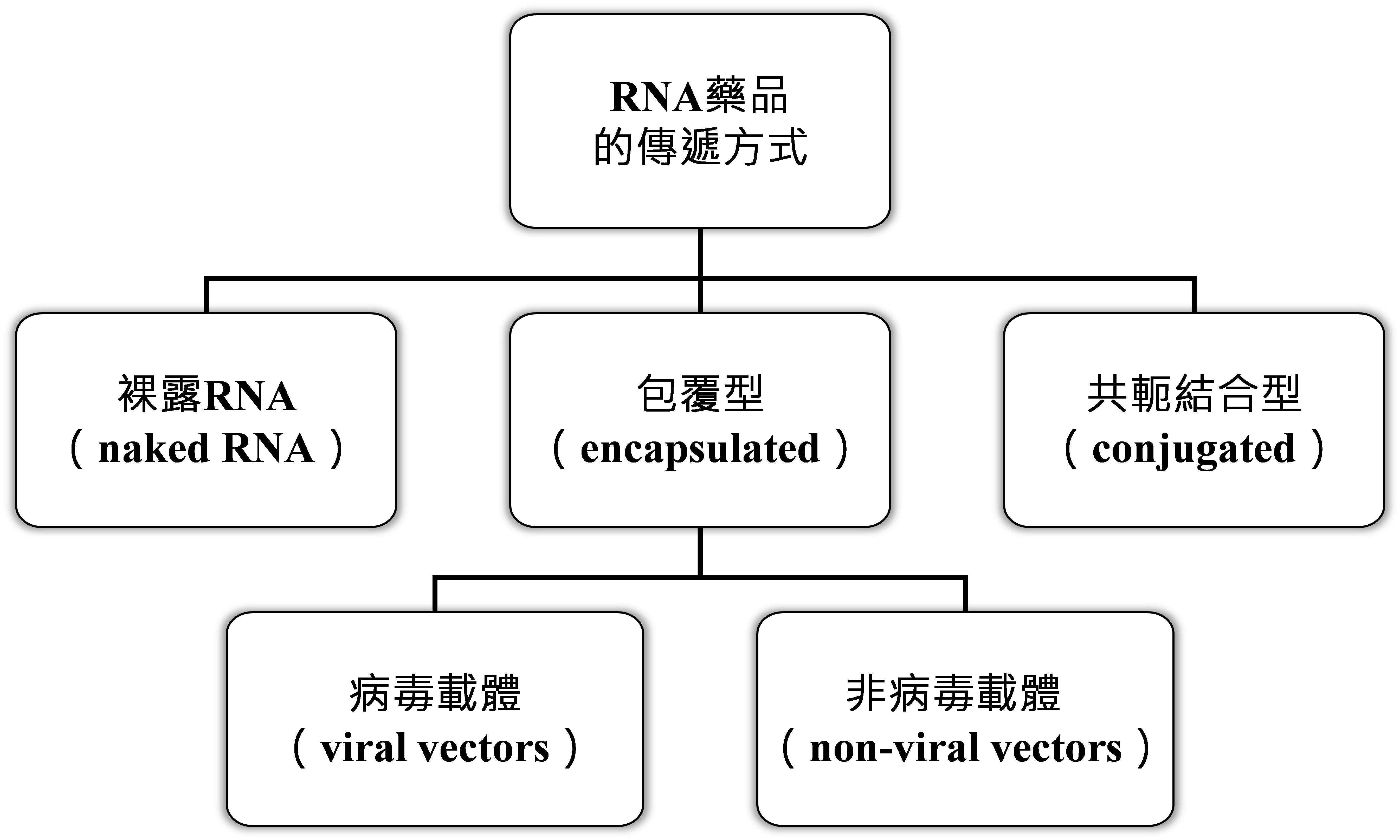 圖1 RNA藥品的傳遞方式（以類型區分）