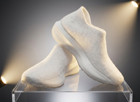 A Slice of Shoe-single material, no stitching