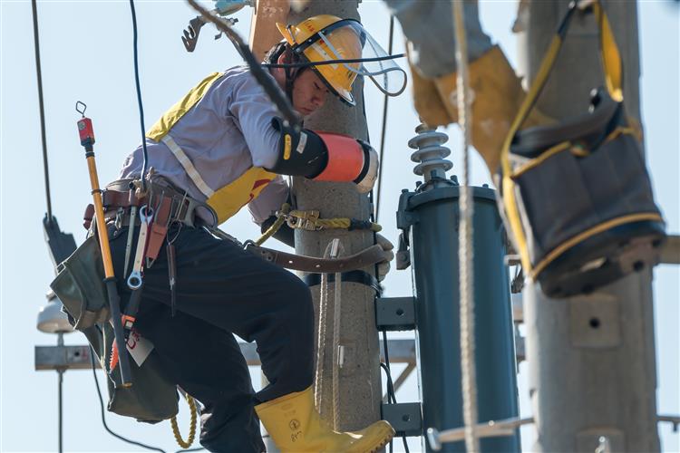 台電2026僱員甄試招募700名新血 簡章預定12/24公告