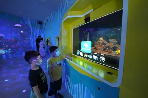 Open new window for The innovative AI Aquarium features fish identification with accuracy as high as 98%. This innovation won a CES Innovation Award.(jpg)