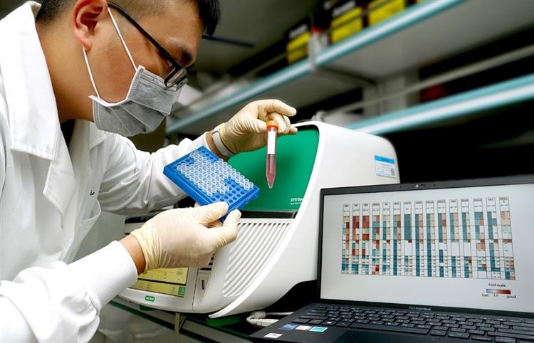 Open popup window for Key Functional Cell Identity identifies super-donor cells before clinical trials start, accelerating the development and production of cell therapy.(jpg)