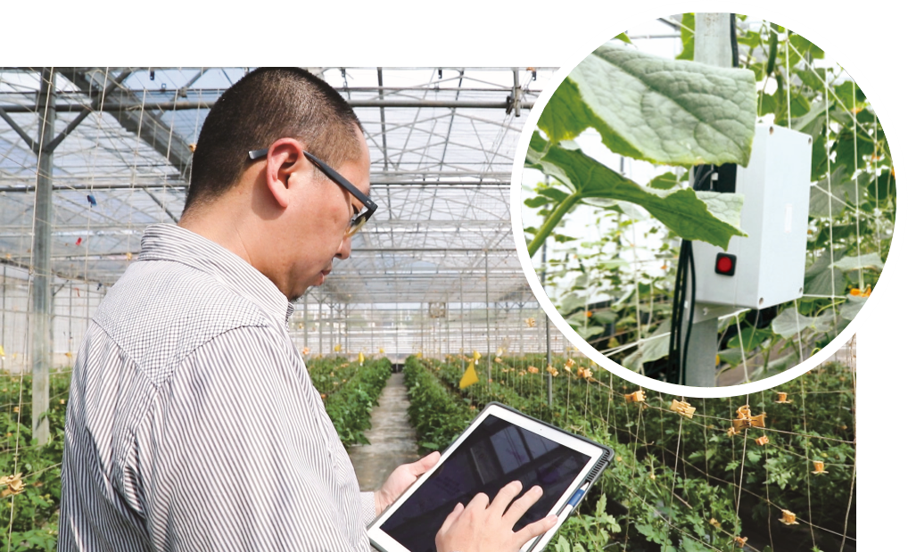 以數位分身技術打造智慧農業應用，提供農民生產決策建議