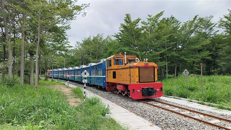 台糖蒜頭糖廠復古五分車已評選出5組候選好名，待全民線上投票決定列車最終名號。