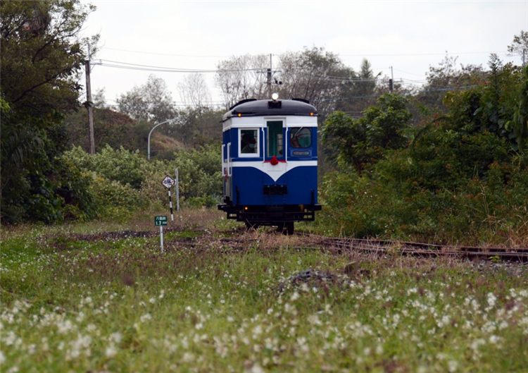 台糖新營鐵道文化園區每逢假日皆提供「勝利號」搭乘服務，相當受到大小朋友歡迎。