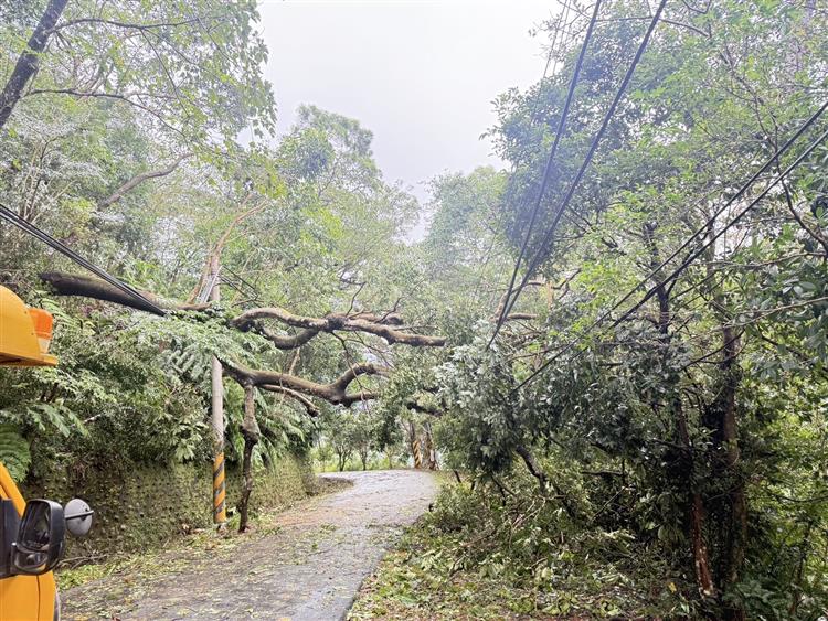 受康芮颱風影響，大型樹木、電桿倒斷嚴重，等待道路搶通延長了整體搶修時間。圖為新北市三峽山區多處樹木傾倒壓線及電桿斷裂致道路阻礙。