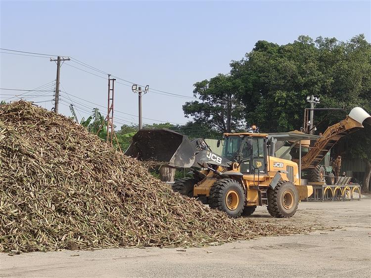 推蔗機忙碌穿梭於儲蔗場與糖廠間運送新鮮甘蔗，展現製糖現場繁忙景象