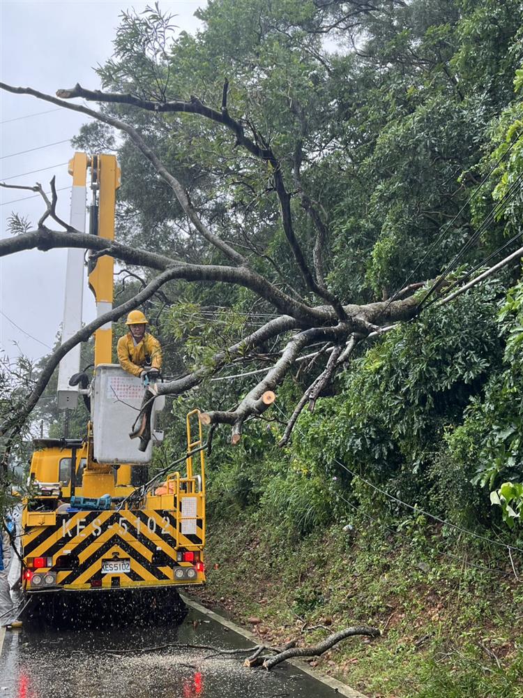 強風造成樹木倒塌，壓及低壓線路，台電人員於新竹湖口鄉進行搶修。