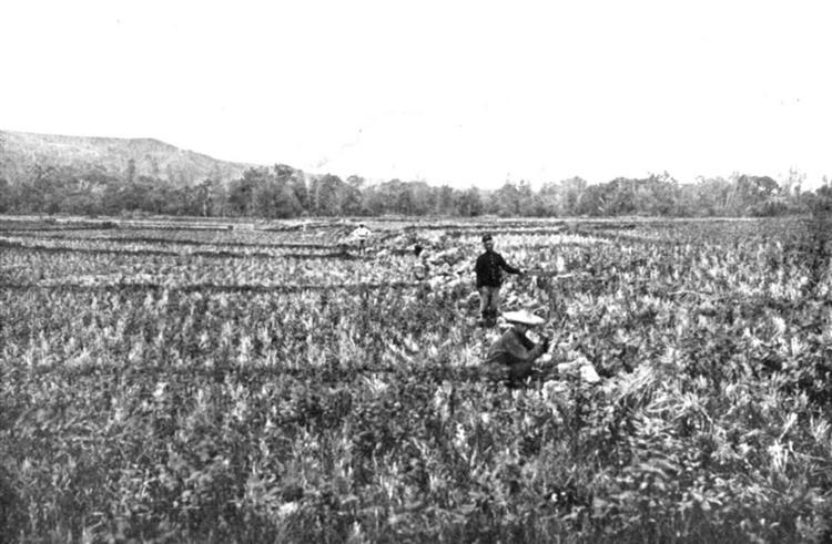 1906年梅山地震斷層通過嘉義縣梅山鄉三美莊(舊稱尾庄)附近的稻田；左側（南側）地塊相對陷落6呎。(Omori，1907)