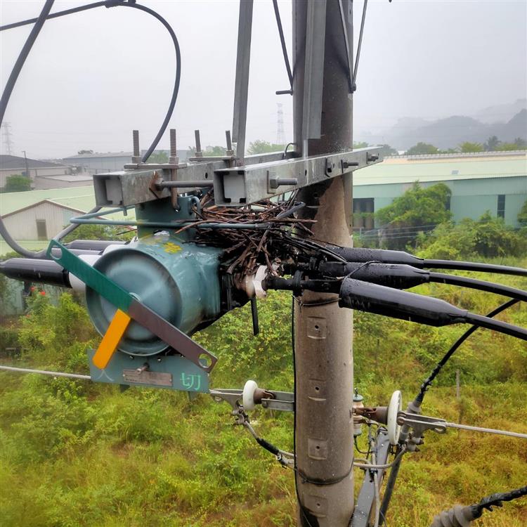 停電原因中，外力、天災、用戶因素約占六成，台電設備因素約占四成。圖為今(21)日高雄市大社區因鳥巢碰觸高壓線路開關，造成停電。