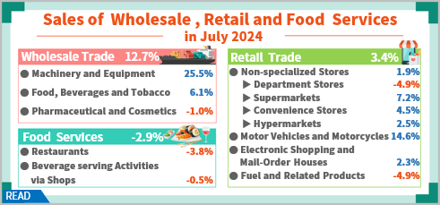 Open popup window for Sales of Wholesale, Retail and Food Services in July 2024(png)
