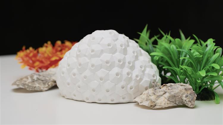 Open new window for Renewable Polymorphic Transition (Poly-T) Materials is used with 3D printing technology to create artificial coral(jpg)