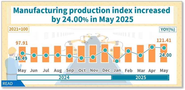 Industrial Production Index in May 2025