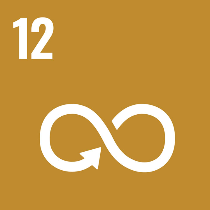 SDGs-12