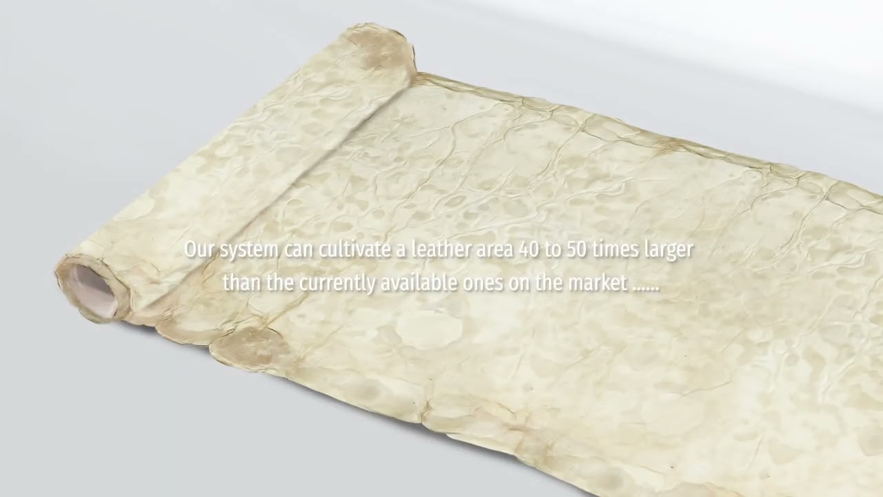 Mushroom Leather Cultivates System Video
