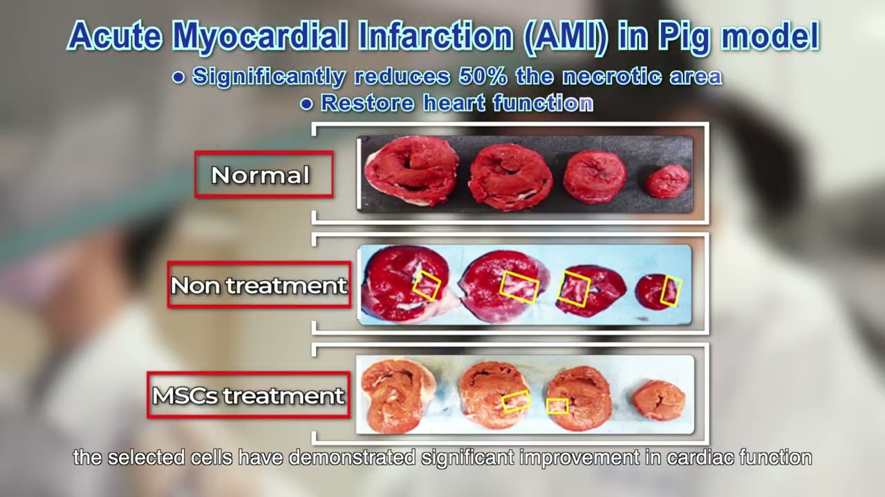 Key Functional Cell Identity (KFCI) Video