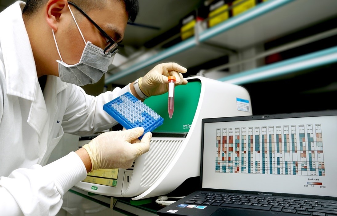 Key Functional Cell Identity (KFCI)