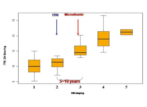 本糖尿病腎病變生物標記檢測套組具有早期診斷及疾病分期監控效果