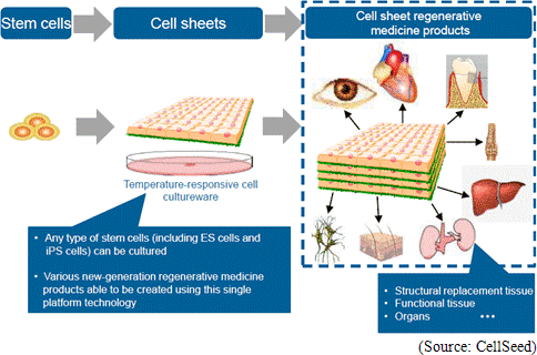 圖四 CellSeed公司的細胞層片技術