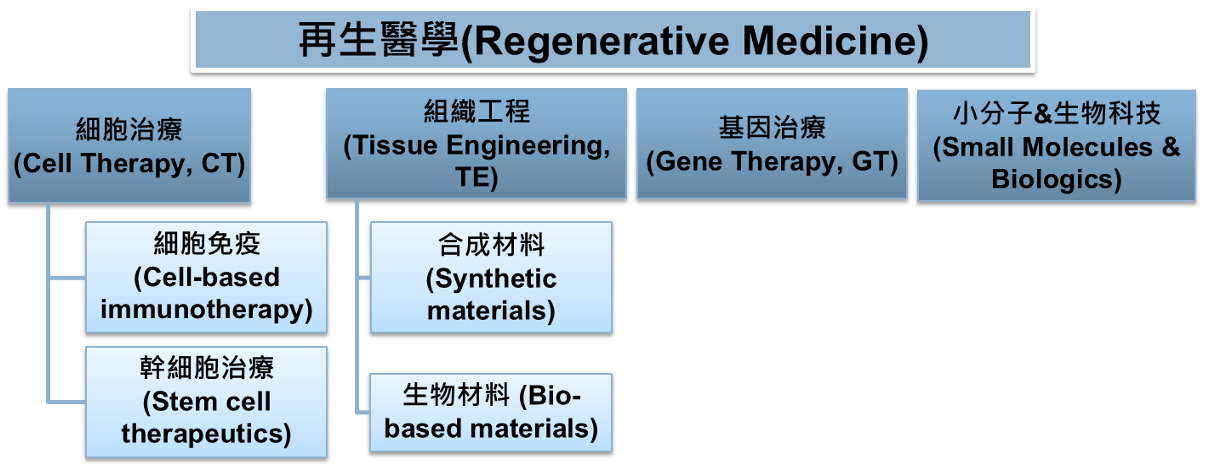圖一 再生醫學之細胞治療範疇與定義
