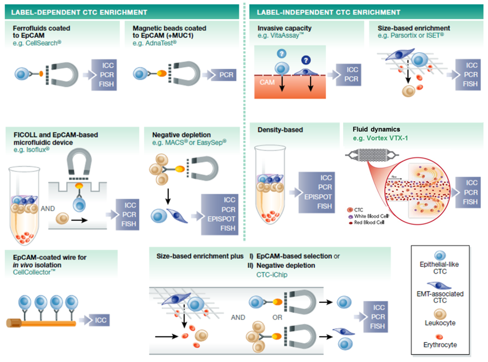 圖2 循環腫瘤細胞分離技術介紹
