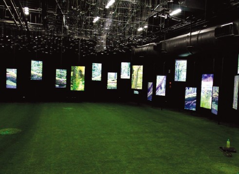 2010年開發出65吋9個視域之裸眼式立體顯示器於臺北國際花博會之夢想館