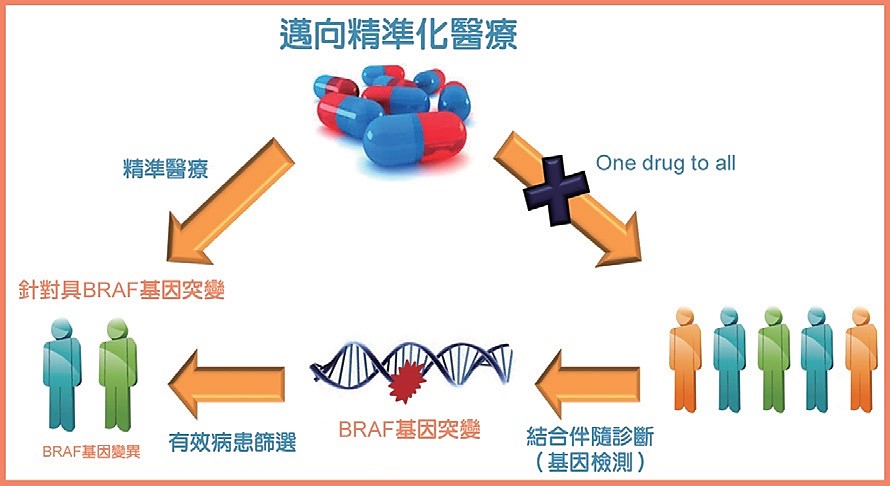生技中心成功開發專一RAF激酶抑制劑，可應用於BRAF基因變異癌症治療，逐步邁向精準醫療