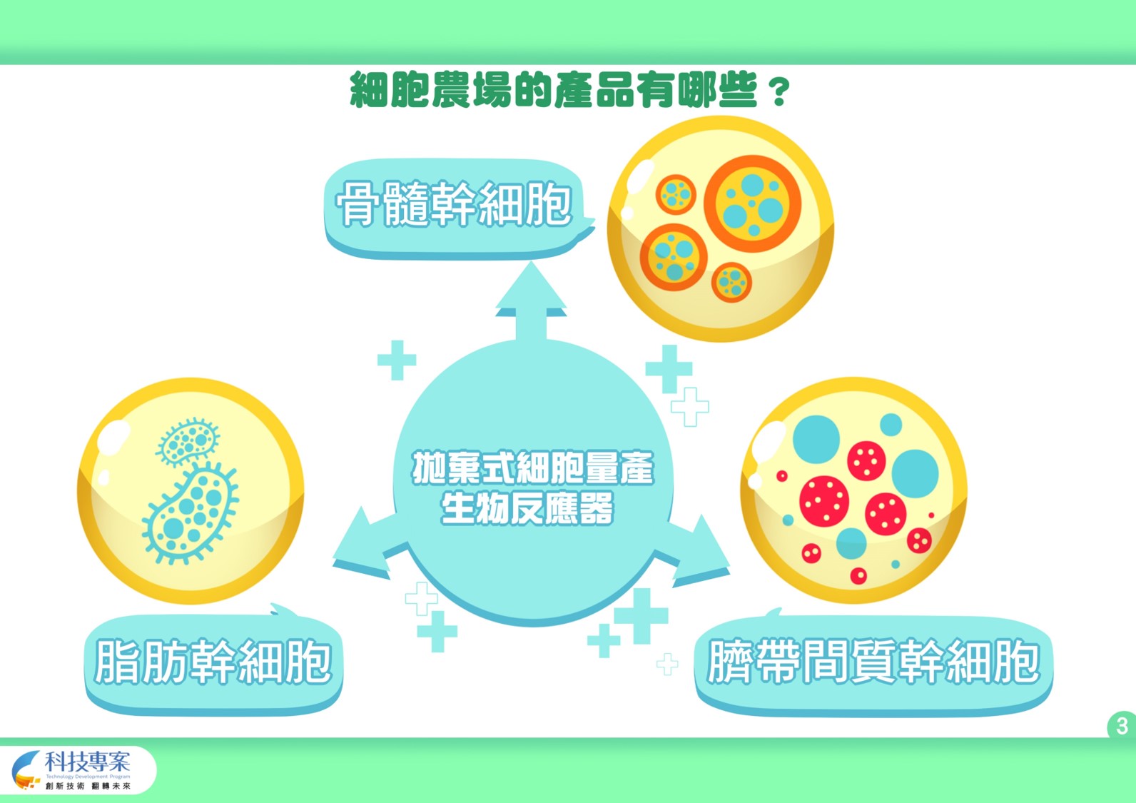 細胞農場的產品有脂肪幹細胞、骨髓幹細胞、臍帶間質幹細胞
