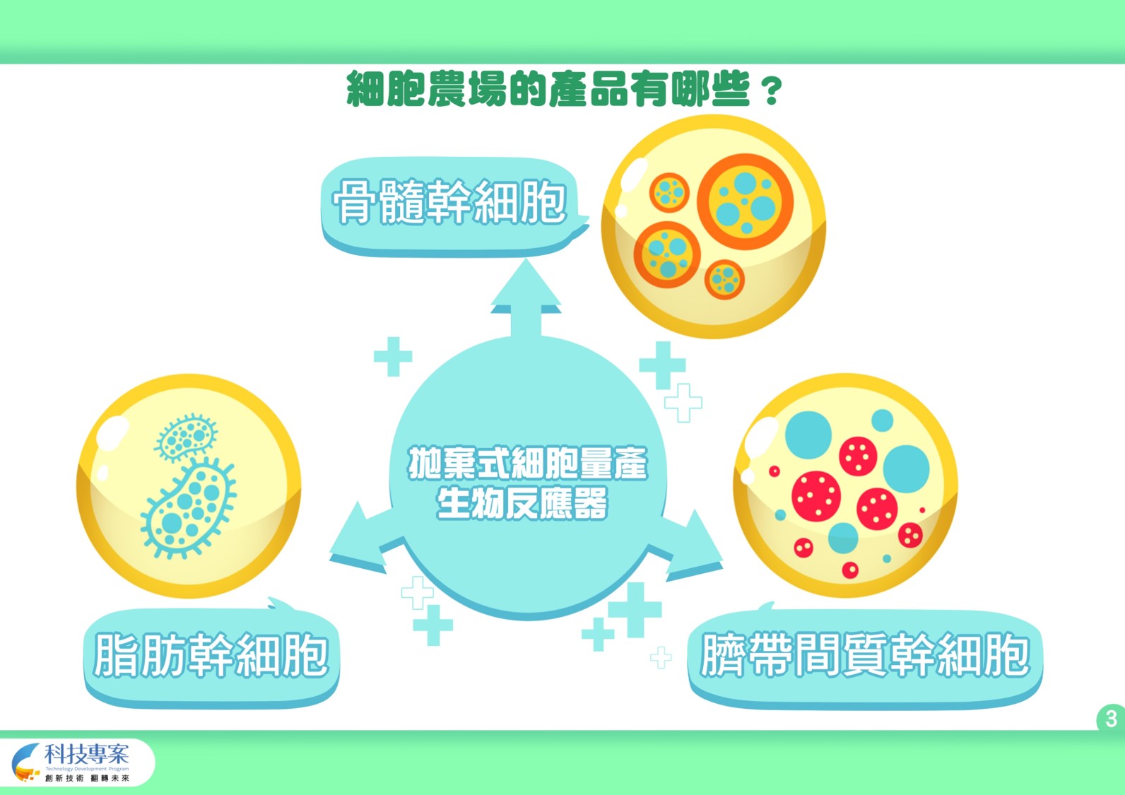 細胞農場的產品有脂肪幹細胞、骨髓幹細胞、臍帶間質幹細胞