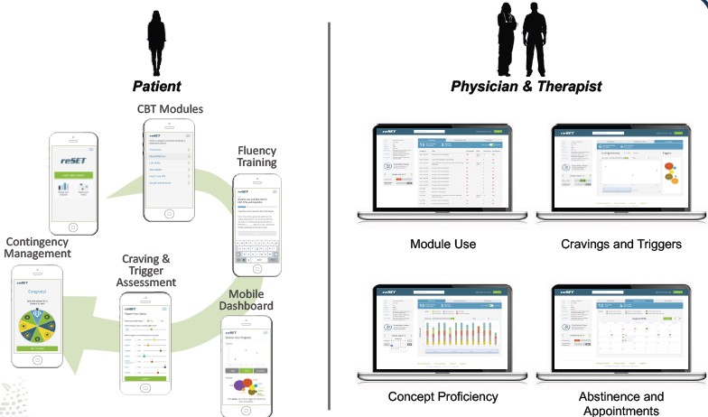 圖3 reSET行動醫療應用系統平台。