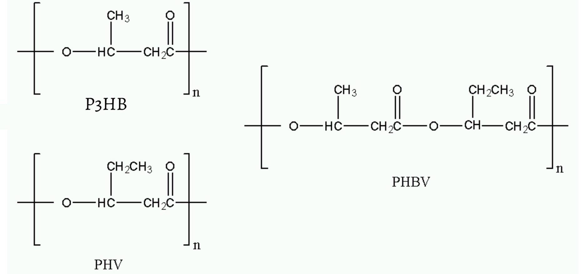 圖1 PHAs系列的高分子聚合物
