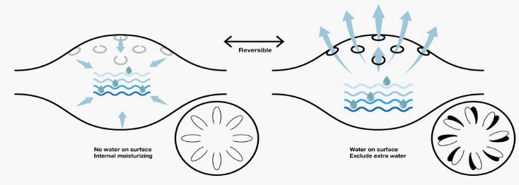 Urban Smart Fiber Soil的感濕紡織品具有自動調水技術，在澆水後土壤會以花瓣狀打開利於水分的流通，以紡織品的精妙再利用，從內到外打造絕妙的綠色環境圖片