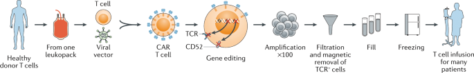 圖1　同種異體CAR-T細胞製造流程