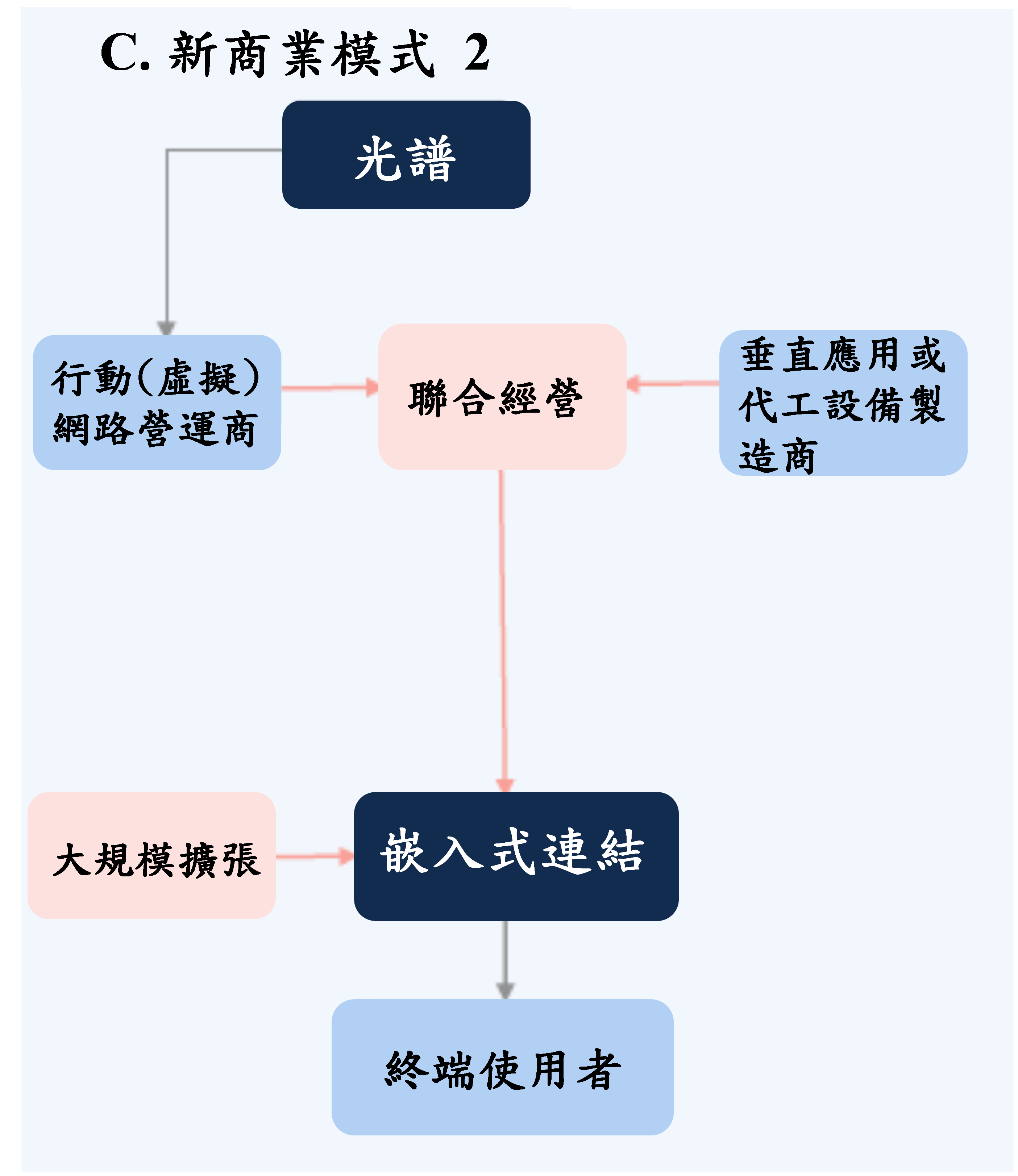 (C)新商業模式2