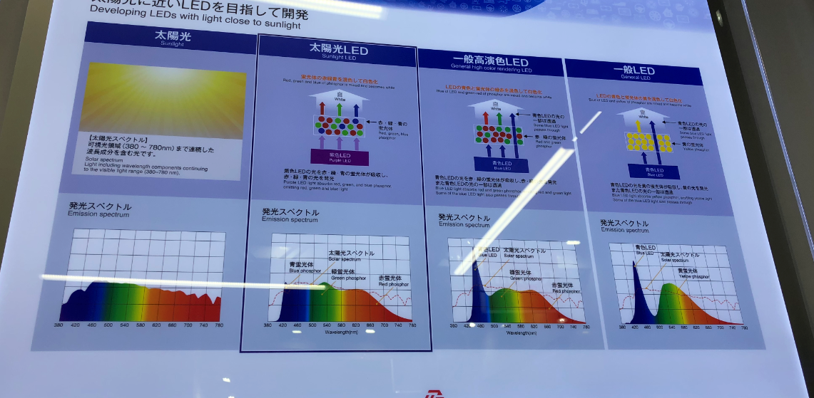 圖2 太陽光LED、一般高演色性LED以及一般LED比較