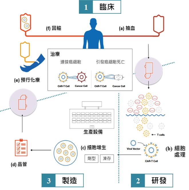 圖1  CAR-T治療流程圖