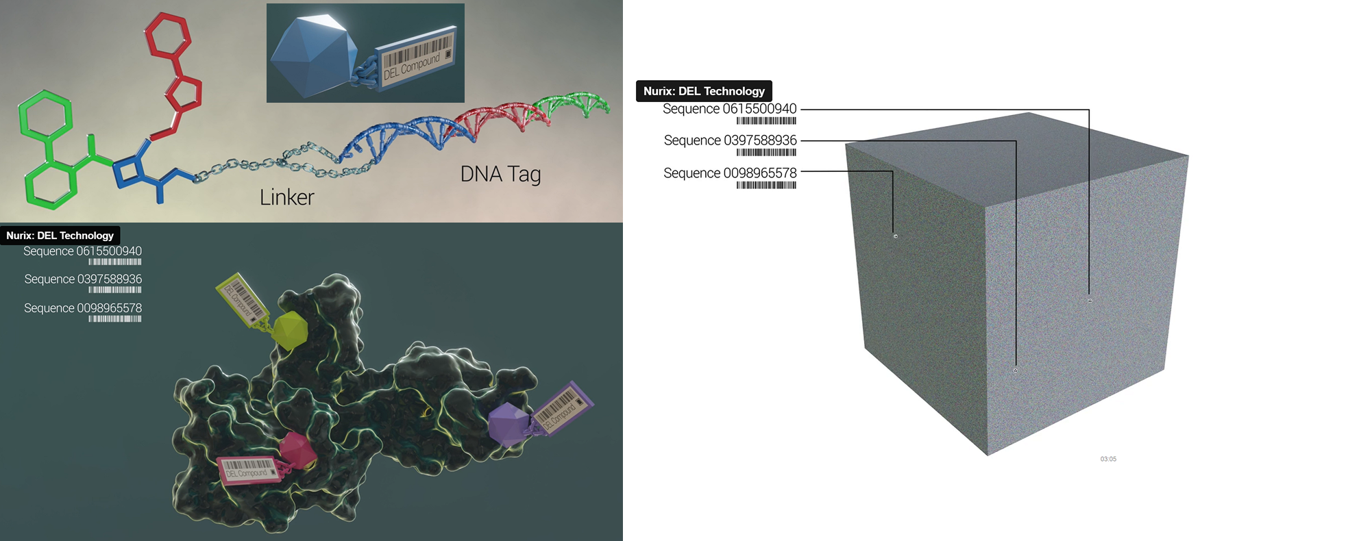 圖2 DELigase平臺，A：DNA編碼的小分子組成；Ｂ：DNA編碼的小分子與標的蛋白結合模擬；C：DEL電腦分析模型示意