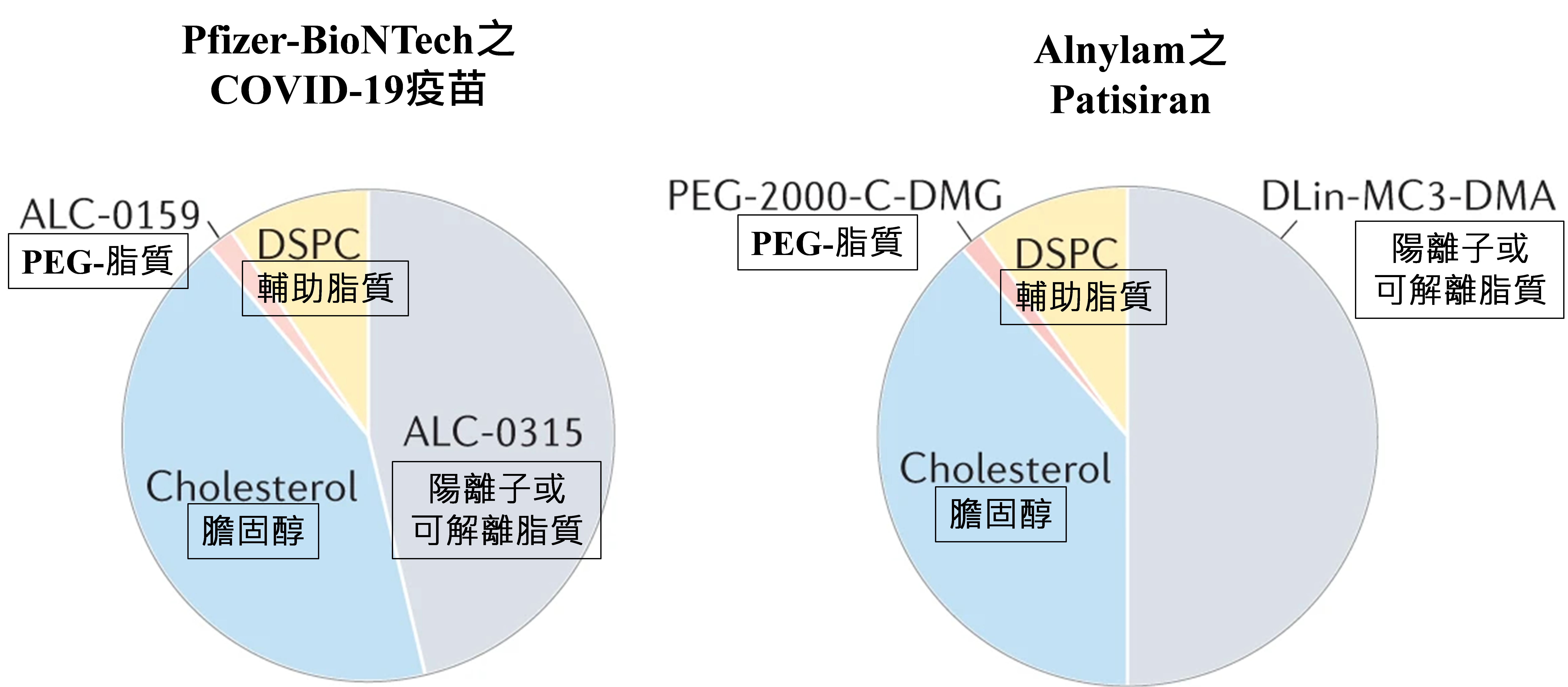 圖3 Pfizer-BioNTech之COVID-19疫苗和Alnylam之patisiran的4個LNP成分之莫爾比