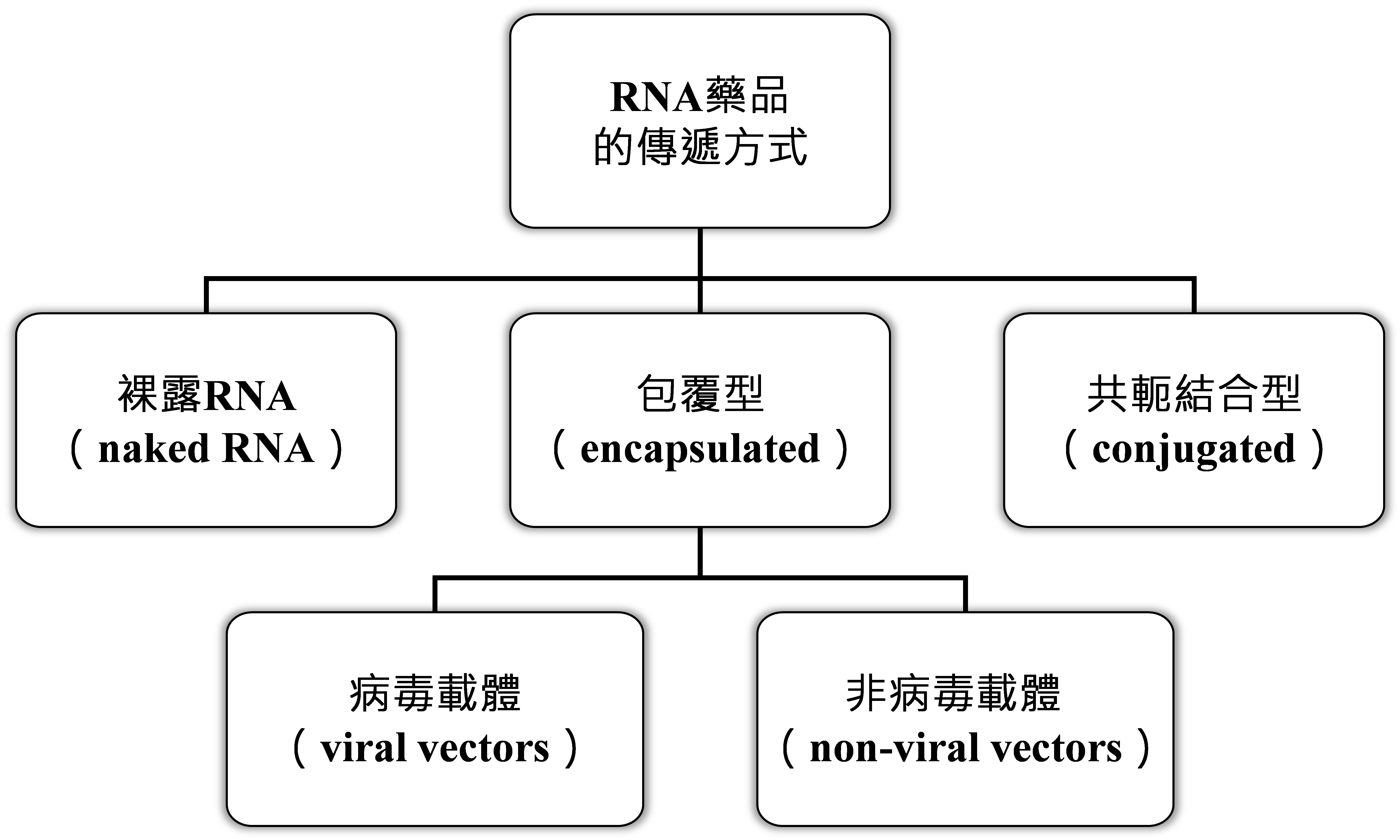 圖1 RNA藥品的傳遞方式(以類型區分)