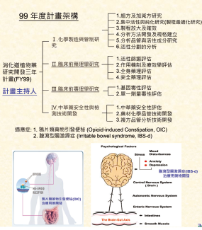 「消化道植物藥研究開發三年計畫」2010年計畫架構及適應症機轉圖示