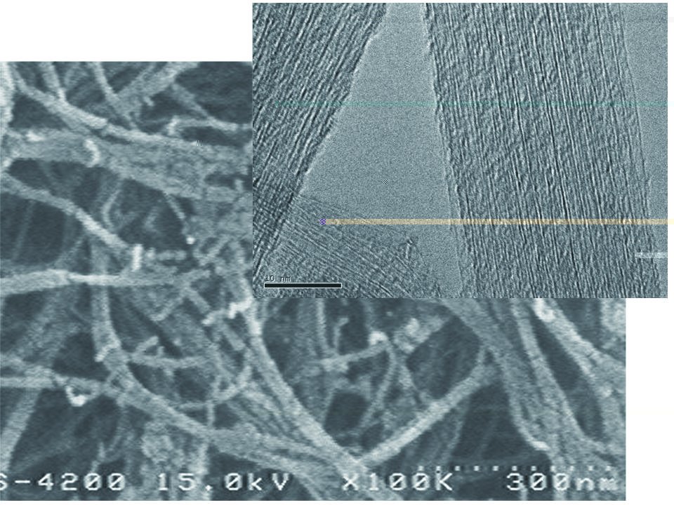 網絡狀超細奈米碳管