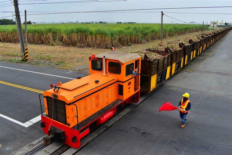 虎尾糖廠運蔗五分車是鐵道迷們每年製糖季必追必拍景象