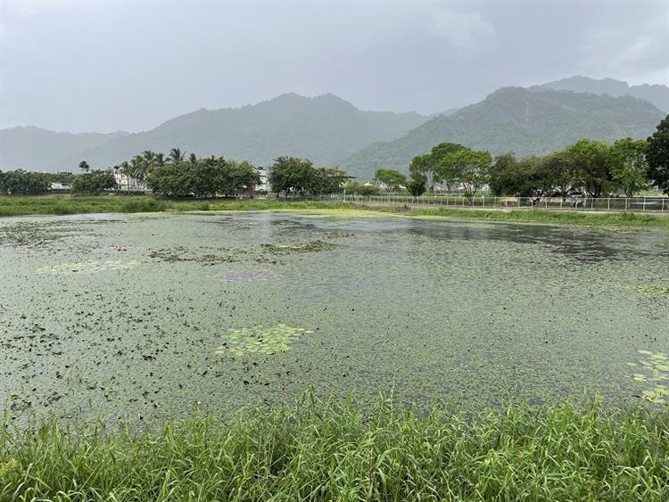 金龍嬉水躍新春 水漾環境樂活行—高雄市美濃湖