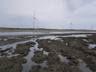 台灣中油重申：第三座液化天然氣接收站工程已避開藻礁範圍 將依環評承諾執行環境保護對策