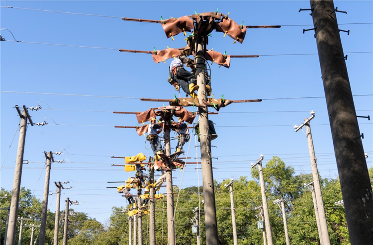 台電5月再招766名僱用人員，其中配電線路維護類265名為員額最多的類別。