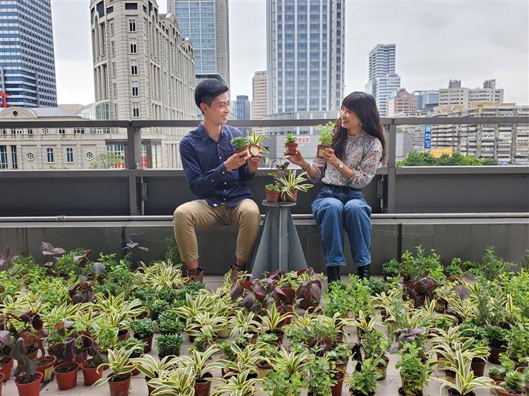 台灣中油邀您一起種下「藝」苗，為防疫加油
