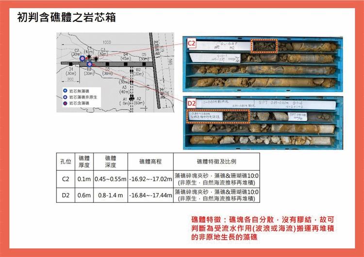 依鑽探岩芯顯示，離岸較遠的礁體，呈破碎不連續狀