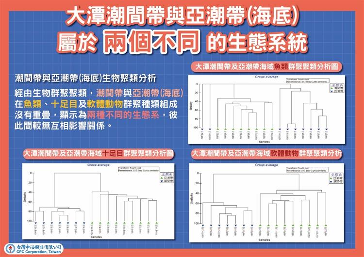 大潭潮間帶與亞潮帶(海底)屬於兩個不同的生態系統