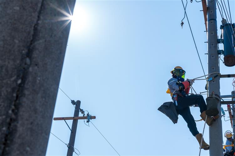 台電5月招考857名僱用人員，其中配電線路維護類284名為員額最多的類別。