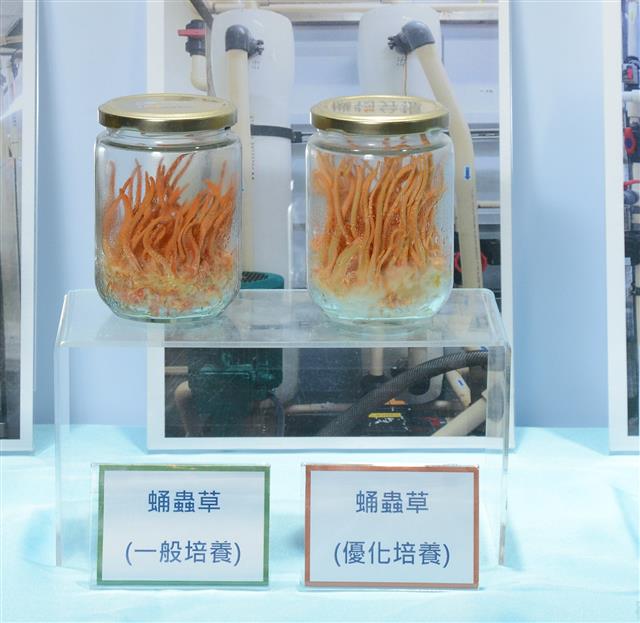 石資中心開發「深層海水微生物優化培育技術」，利用逆滲透與奈米過濾多重膜過濾技術，保留富含無機物之濃縮萃取物，用以培養蟲蛹草，效果遠勝於一般培養方式，適合用於各種功能性微生物。