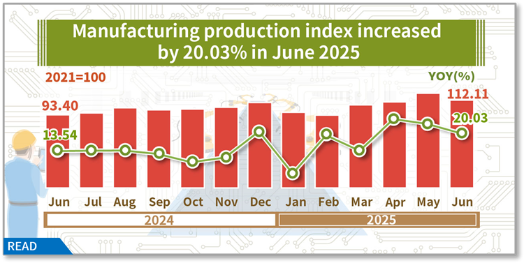 Industrial Production Index in June 2025